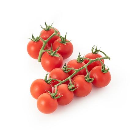 紅寶石番茄