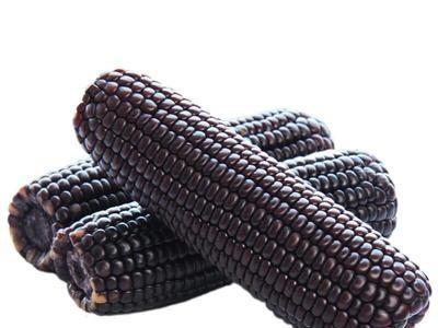 糯玉米-黑