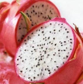 火龍果-白肉