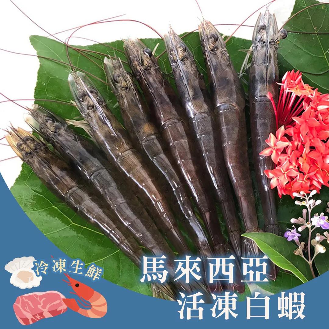 馬來西亞活凍白蝦