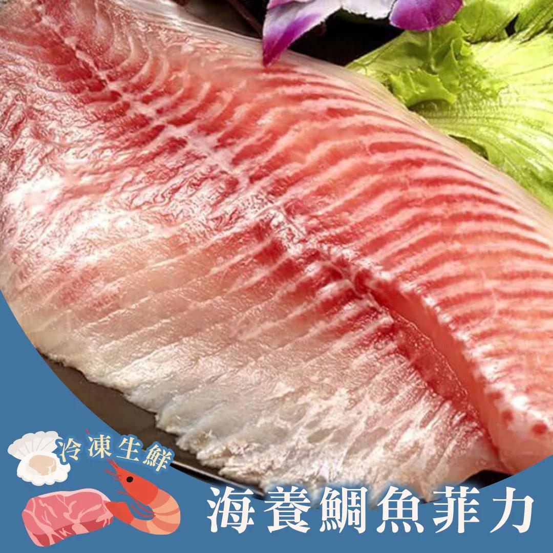 海養鯛魚菲力