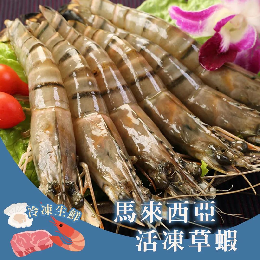 馬來西亞活凍草蝦(8入)