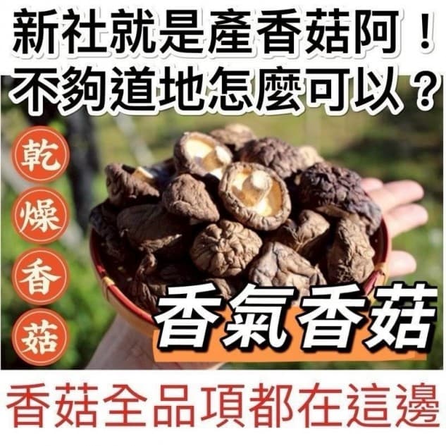 新社大顆香菇