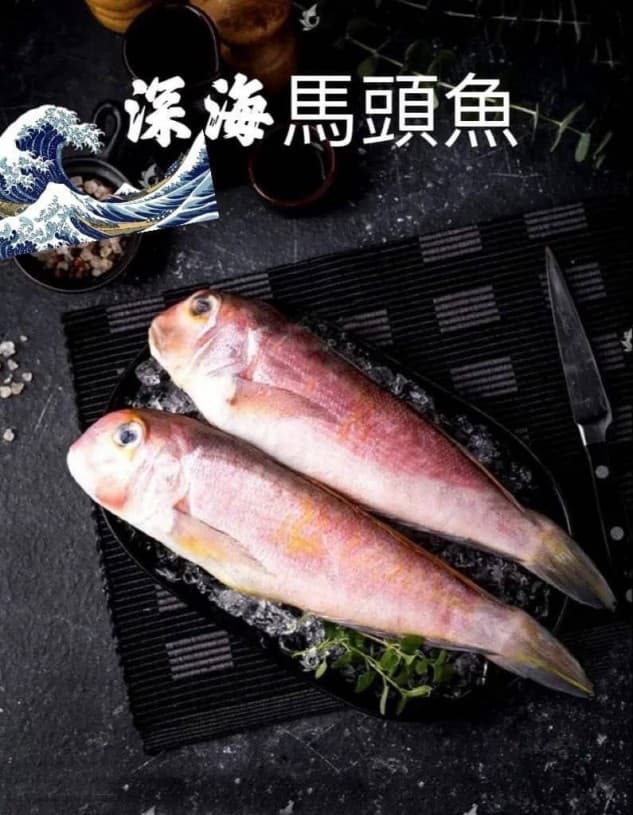 深海野生馬頭魚