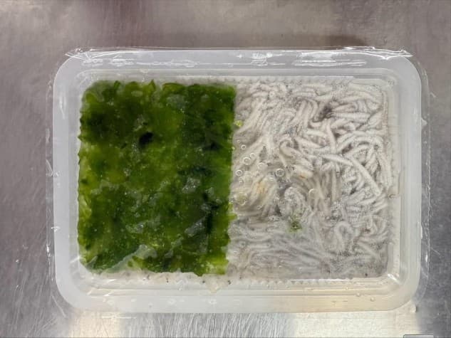 魩仔魚澎湖海菜湯