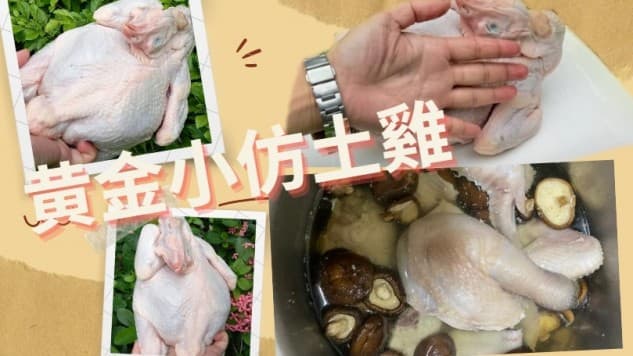 黄金小土雞