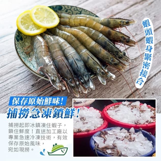 南美極品活凍白蝦
