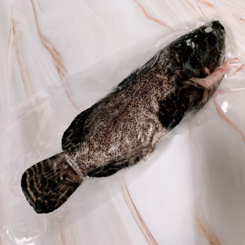 三去龍虎石斑魚